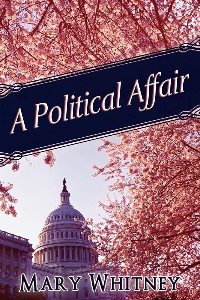 Buy A Political Affair — BookShops.in