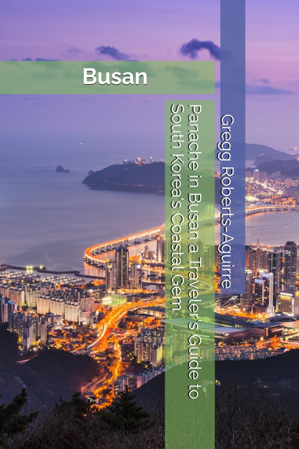 Panache in Busan a Traveler's Guide to South Korea's Coastal Gem: 22 (Asia with Panache)