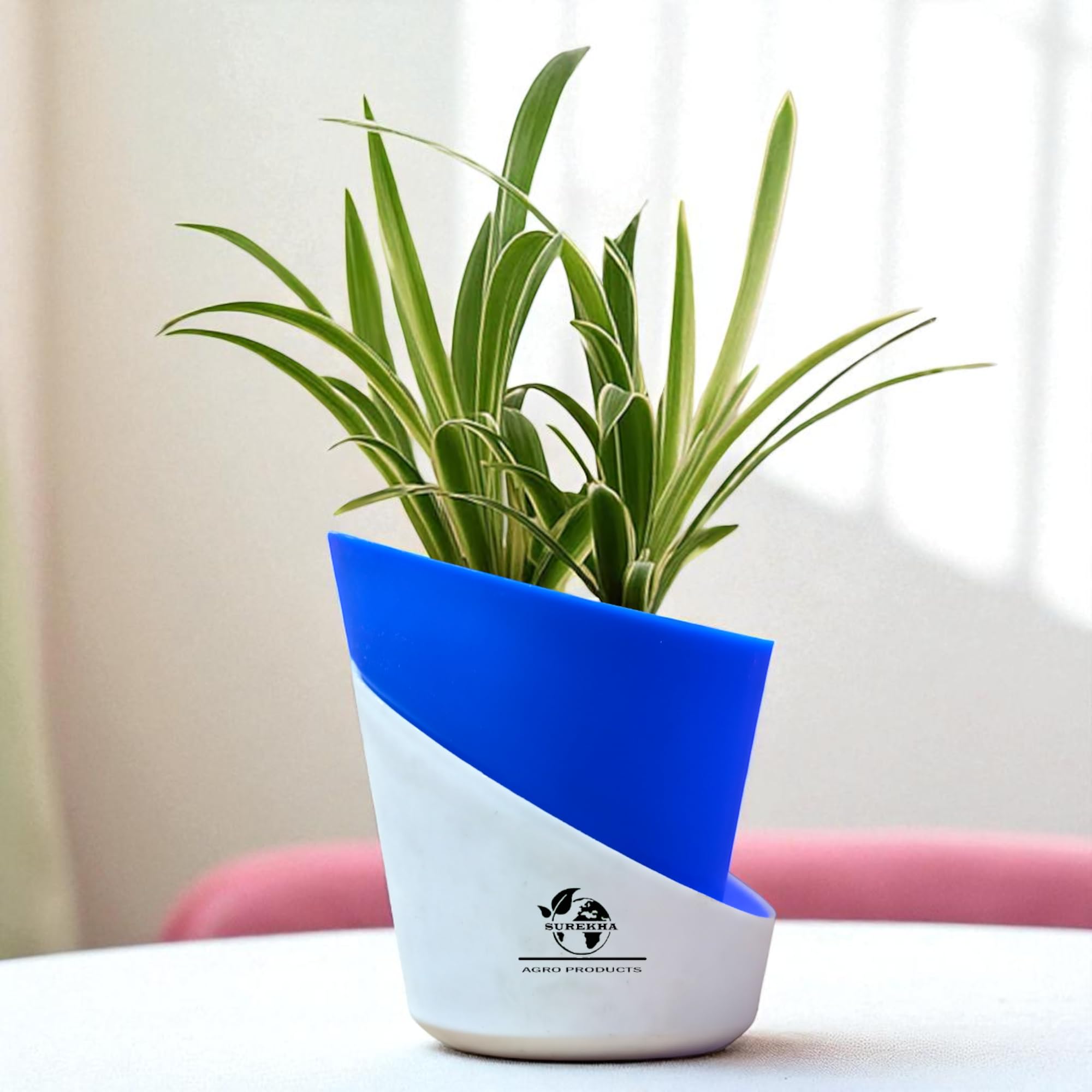 Surekha Chlorophytum Spider Plant in Self-Watering Pot – Live Indoor Air Purifier for Home & Office (Oval Deep Blue)-picture-20