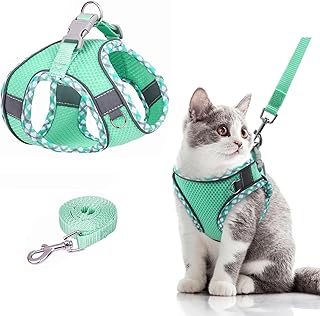 Brifit Verstellbares Katzengeschirr Ausbruchsicher mit Leine Ausbruchsicher, Softgeschirr für Katze Brustgeschirr mit Reflektierenden Streifen, Katzenleine mit Geschirr [XXS]Anwendbares Gewicht: 2-3kg product image