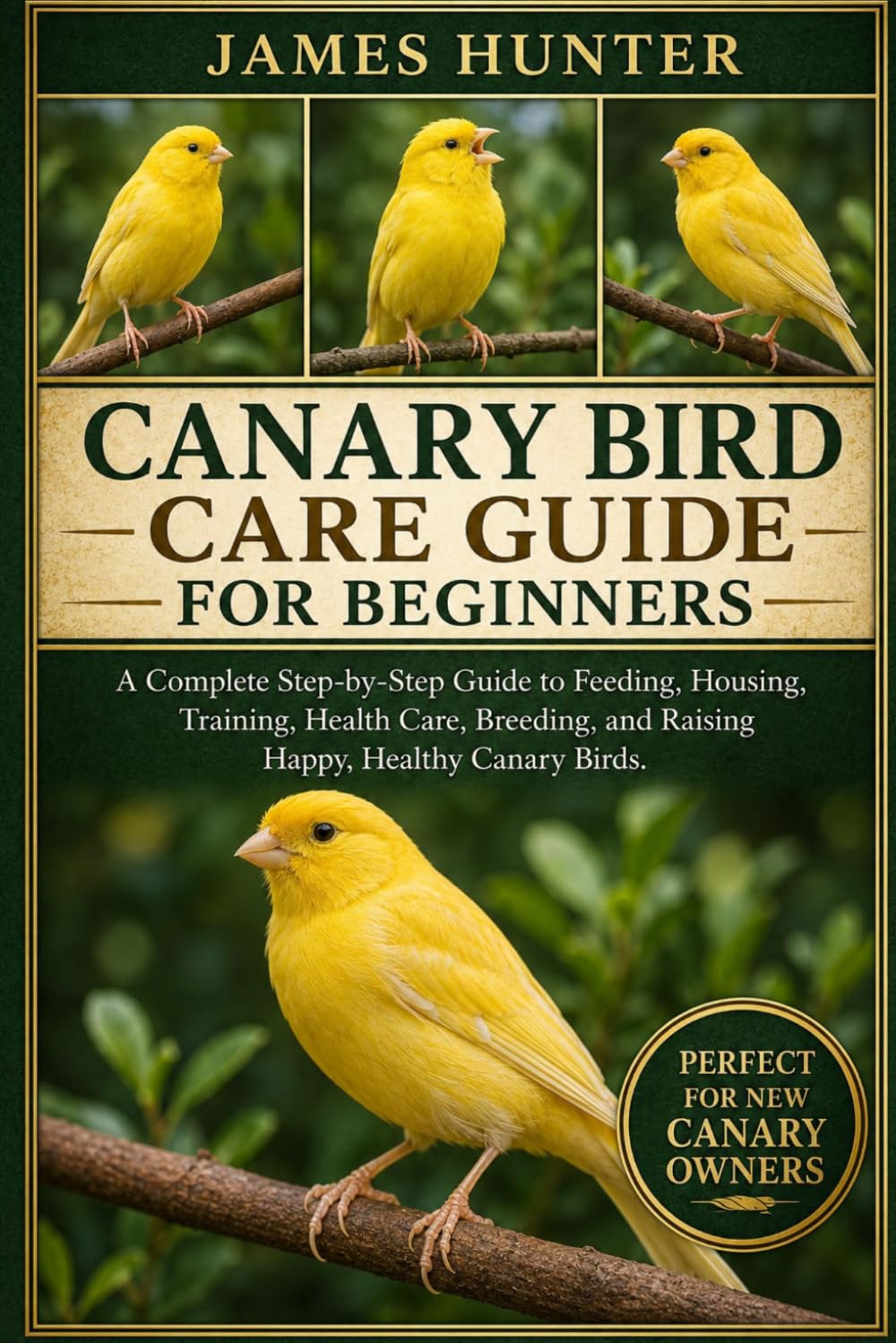 CANARY BIRD CARE GUIDE FOR BEGINNERS: A Complete Step-by-Step Guide to Feeding, Housing, Training, Health Care, Breeding, and Raising Happy, Healthy Canary Birds.