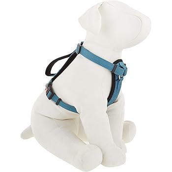 kong seat belt harness