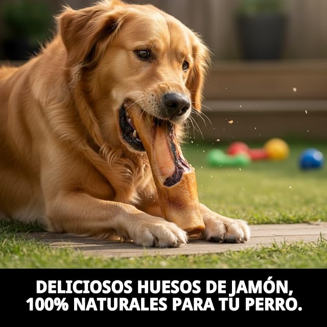 Foto 2 de 7 de MOLY Hueso de Jamón Maxi Codillo para Perros