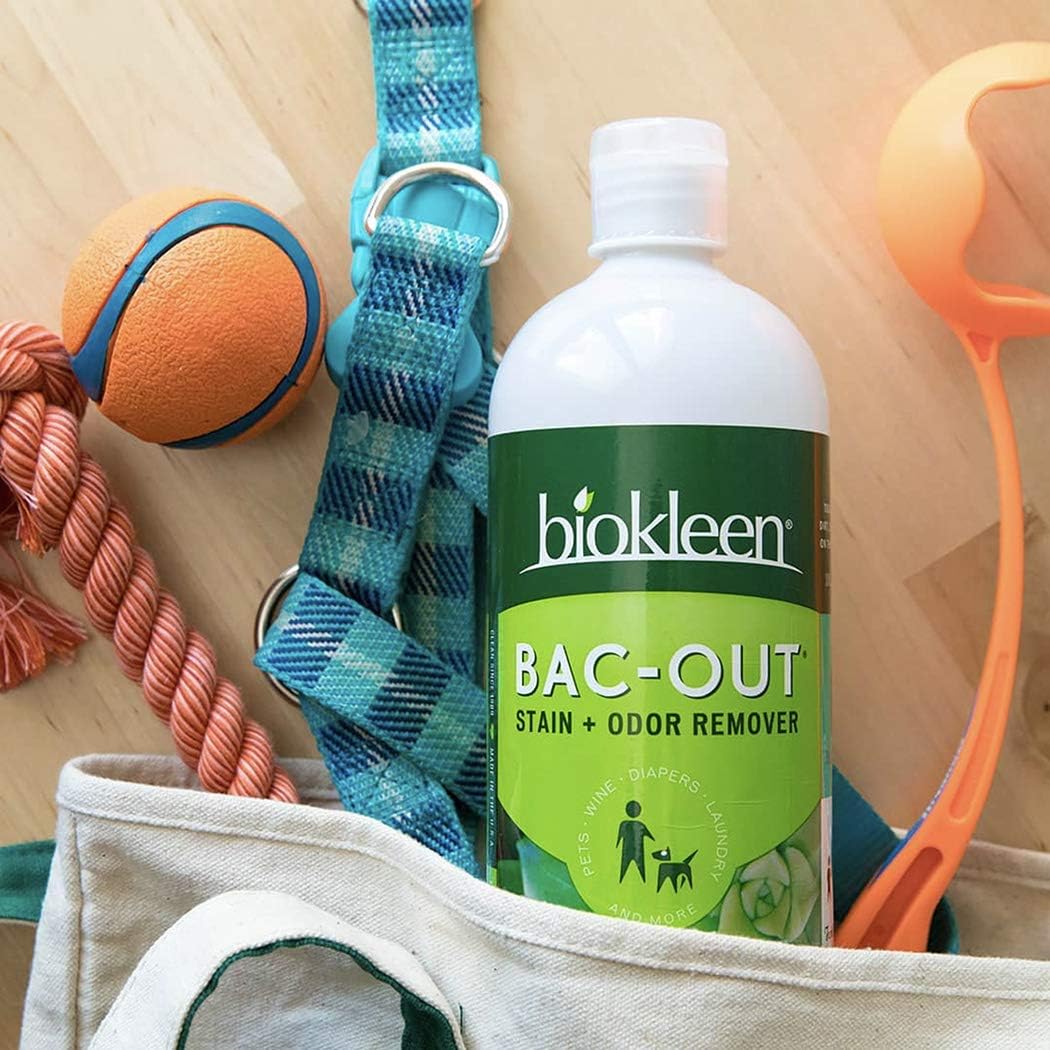 Biokleen Bac-Out Stain+Odor Remover, Destroys Stains & Odors Safely, for Pet Stains, Laundry, Diapers, Wine, Carpets, & More, Eco-Friendly, Non-Toxic, Plant-Based, 16 Ounces (Pack of 12)