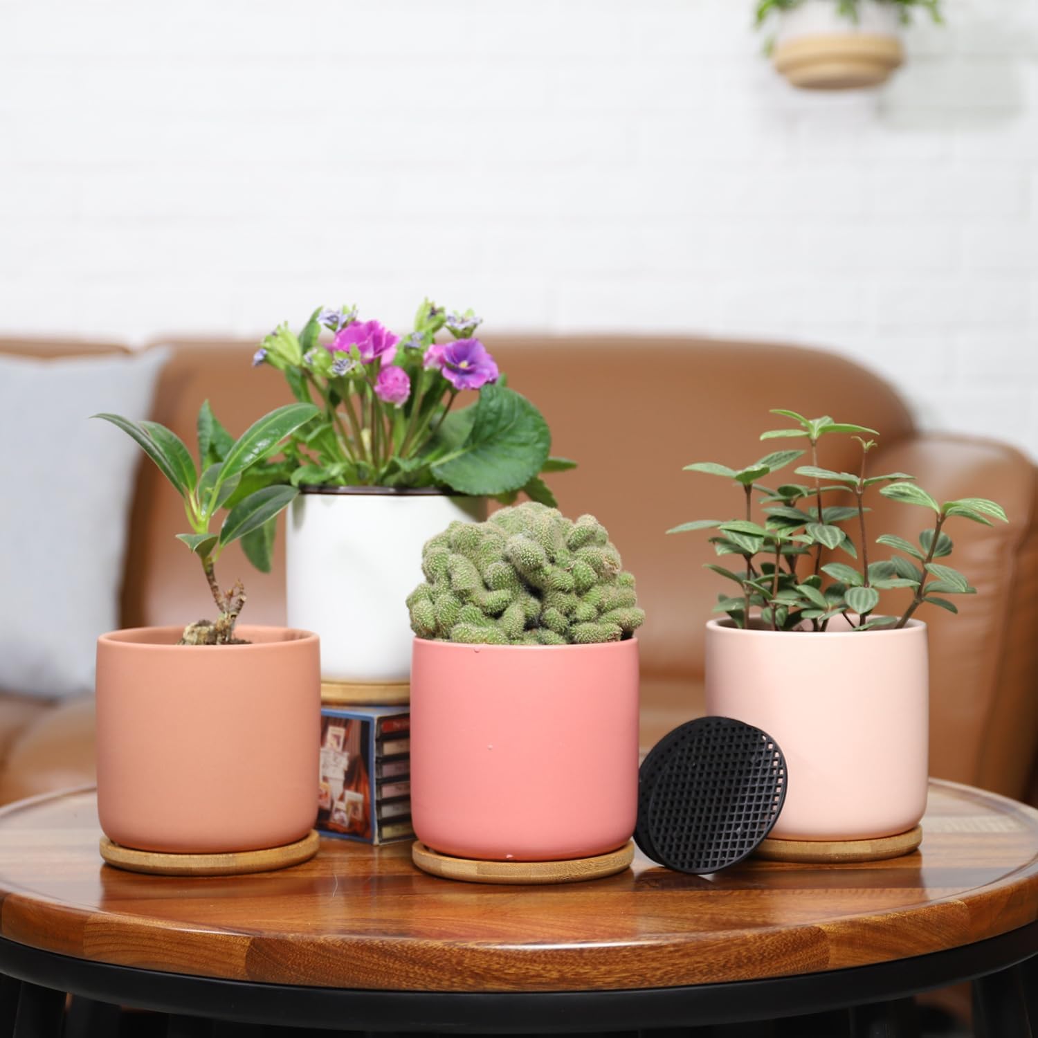 4 Inch Ceramic Plant Pots with Drainage Holes and Trays, Adorable Small Cylinder Flower Planter Pot with Saucers for Indoor Plants, Succulent, Snake Plants, Cactus & Herbs, Multicolor, Set of 4