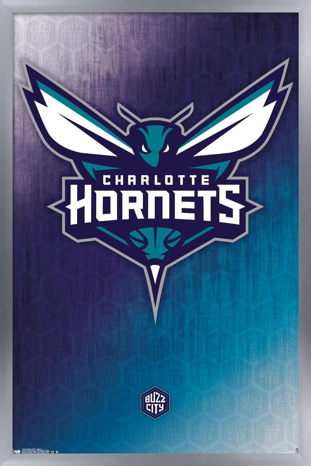 Amazon.co.jp: Trends International NBA シャーロット