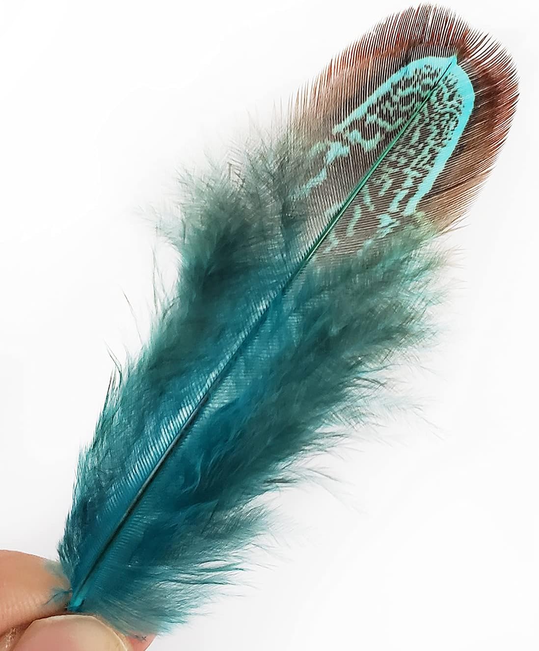 50 pcs Natural Pheasant Plumage Feathers 2-3 Inches Plumage Feathers for Sewing Crafts Clothing Decorating Accessories -Blue
