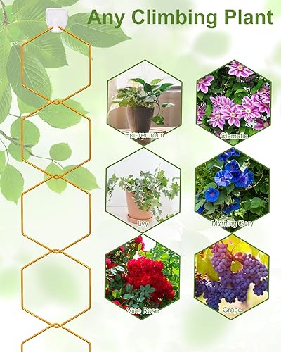 Miniatura 5 de 18 piezas de enrejado de cadena para plantas trepadoras, accesorios para plantas de interior en maceta para Hoya, Ivy, Monstera, enrejado de pared