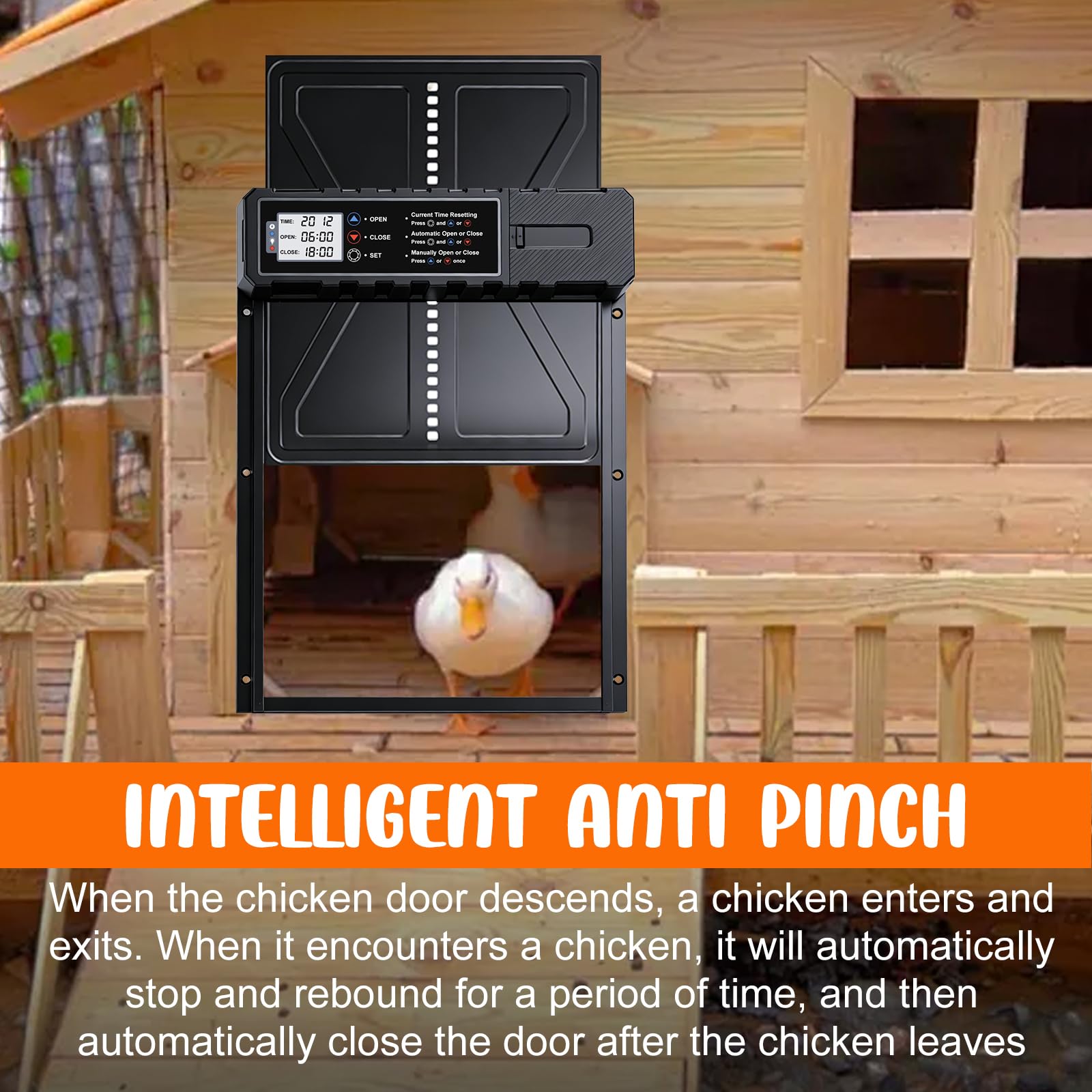 Batería automática de gallina, tamaño de aluminio puerta eléctrica de pollo con pantalla+temporizador+protección inteligente contra pellizcos Modo manual, funciona con pilas (pilas no incluidas)
