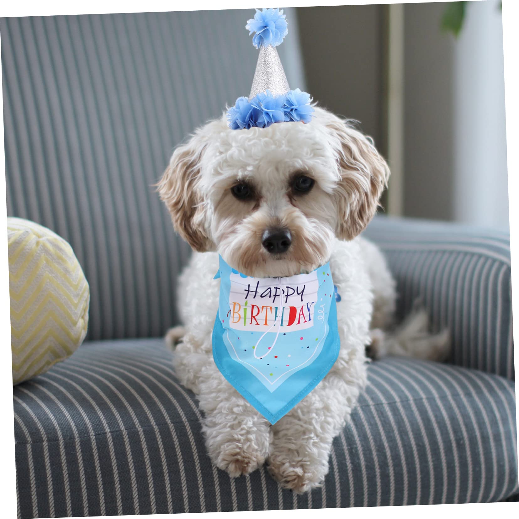COLLBATH 1Set Decorative Dog Birthday Hat Wear Resistant Cat Bandana Unique Scarf for Pets for Parties and Photo Shoots Comfortable and Breathable Design