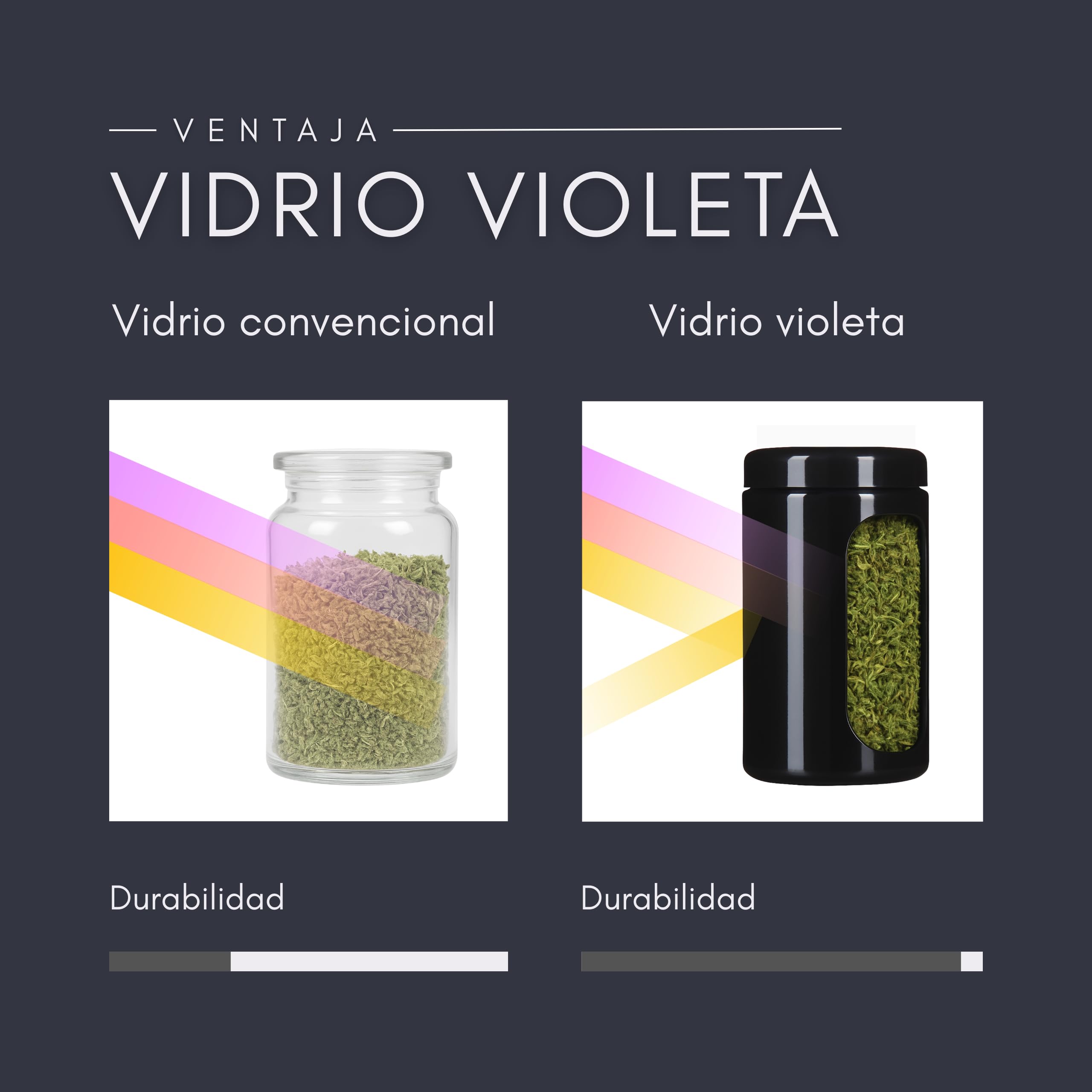 ANCEVIA Tarros de Cristal con Tapa 1000 ml – Set de 6 Botes Herméticos de Vidrio Violeta Miron para Cocina – Conservación Premium para Café, Harina, Arroz y Hierbas – Protección UV