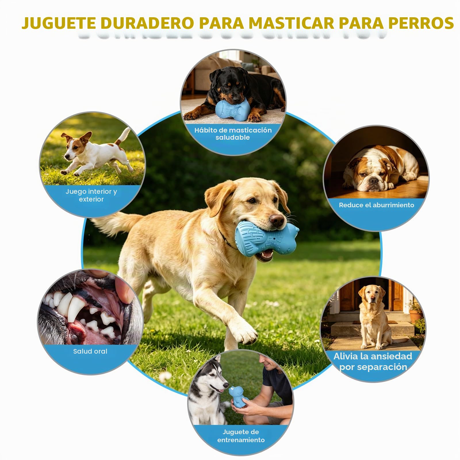 petizer Squeaky, Juguete para Perros Indestructible para masticadores agresivos, Juguete de Seguridad para Perros, Caucho Natural para Perros pequeños/medianos/Grandes