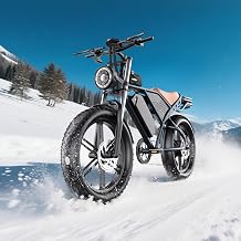 Electric Bike for Adults, 2500W Peak 20" x4.0 Fat Tire Dirt Bike,48V 20Ah Removable Battery, 36MPH, up to 65 Miles, Full Suspension, NFC/Password Unlock, LCD Display