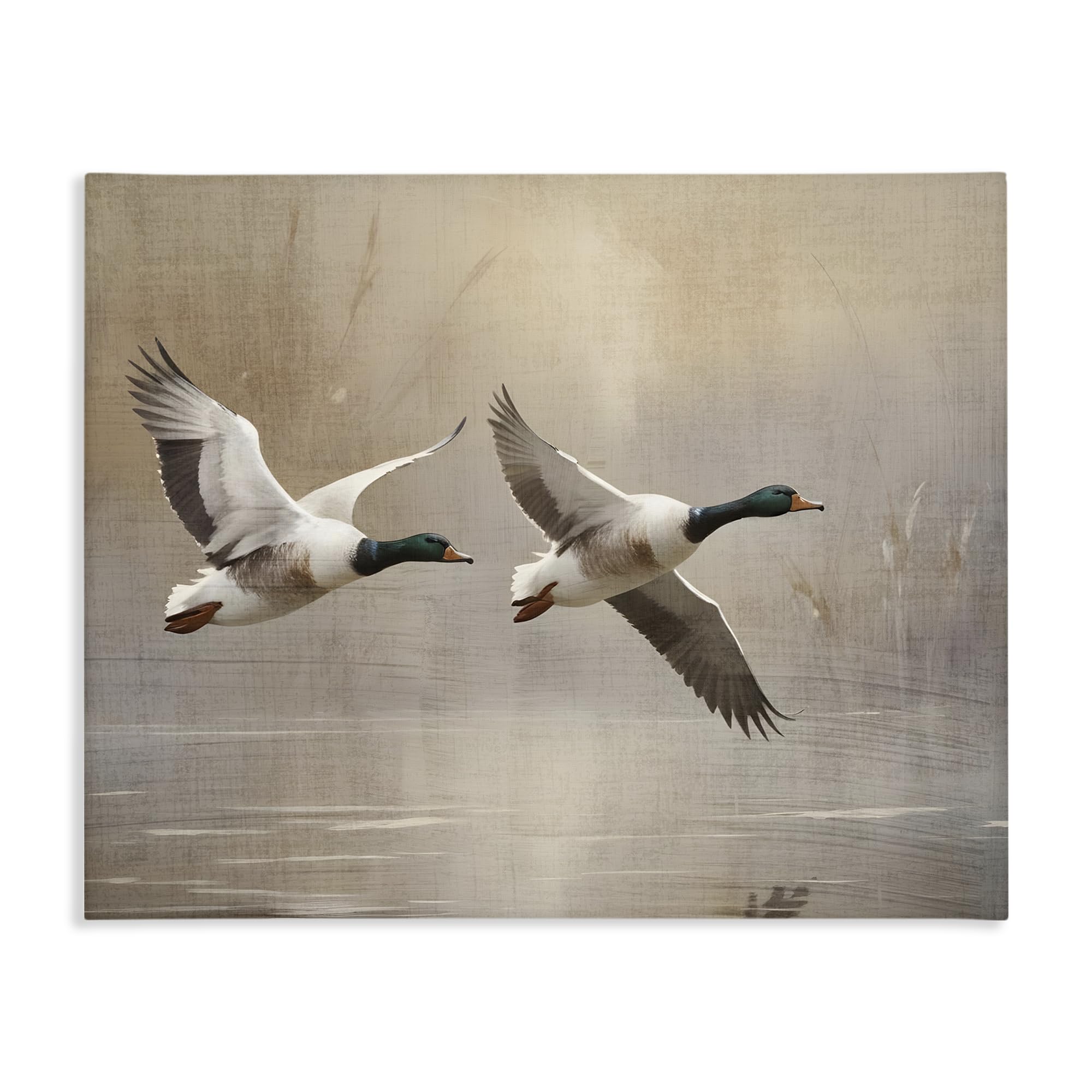 'Mallard Ducks over Pond'| Canvas Art