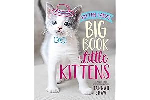 Kitten Lady's Big Book of Little Kittens