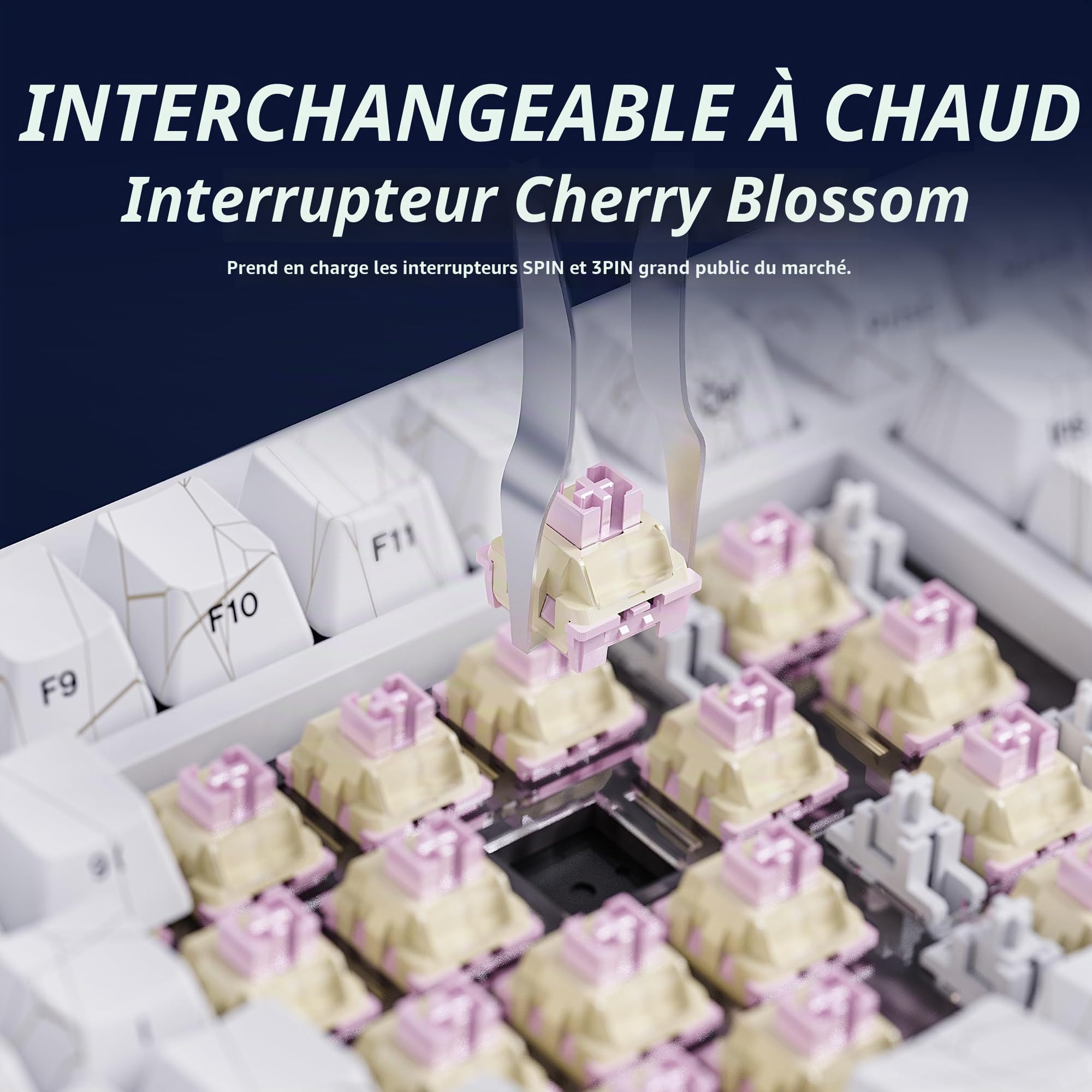 ZORNHER ZH870 Clavier mécanique sans Fil 80% TKL, Touches Toile d’araignée Blanche, switches Sakura linéaires, RGB, Hot-swappable