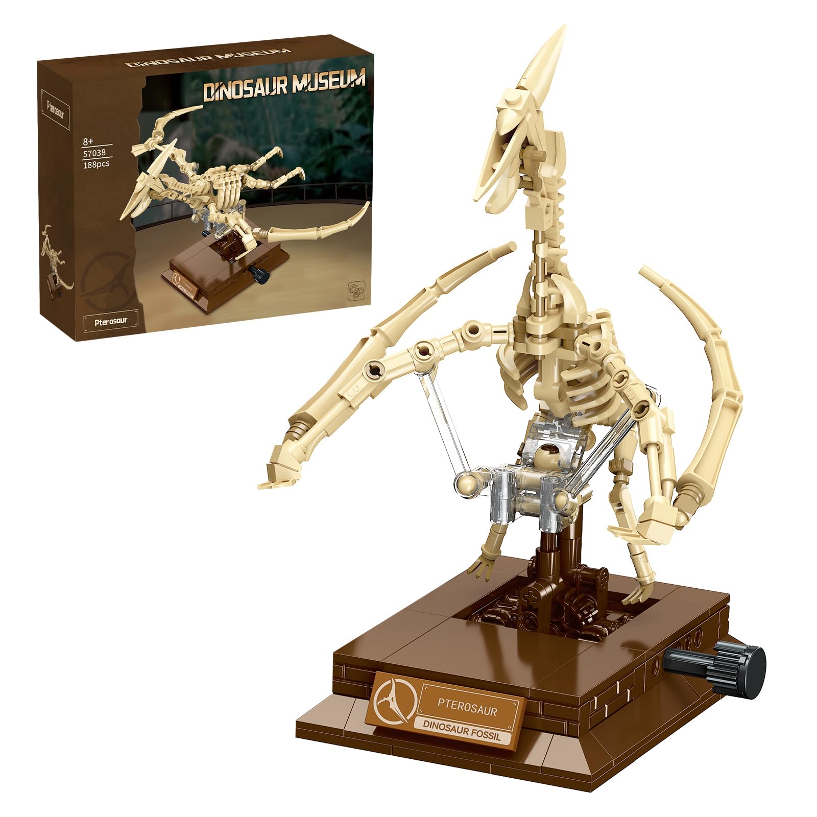 DRZYJ Pterosaur Dinosaur Fossil Building Set, 188Pcs Movable Pteranodon Skeleton Model Kit with Museum Display Stand, Educational Flying Dinosaur Toy for Kids 8 for Dinosaur Fans