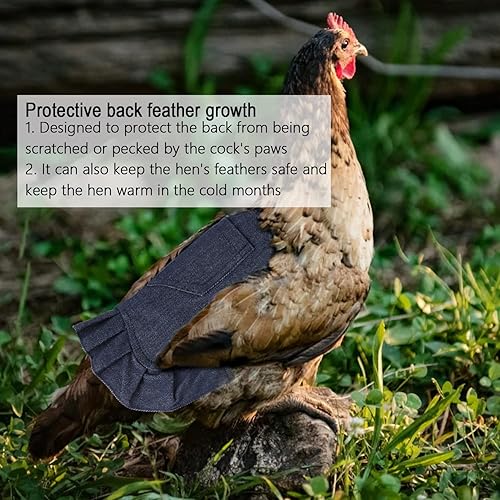 Miniatura 7 de JITEYOU Sillines de pollo, 4 piezas de monturas para gallinas para delantal de gallina para aves de corral protector de plumas fijador suministros