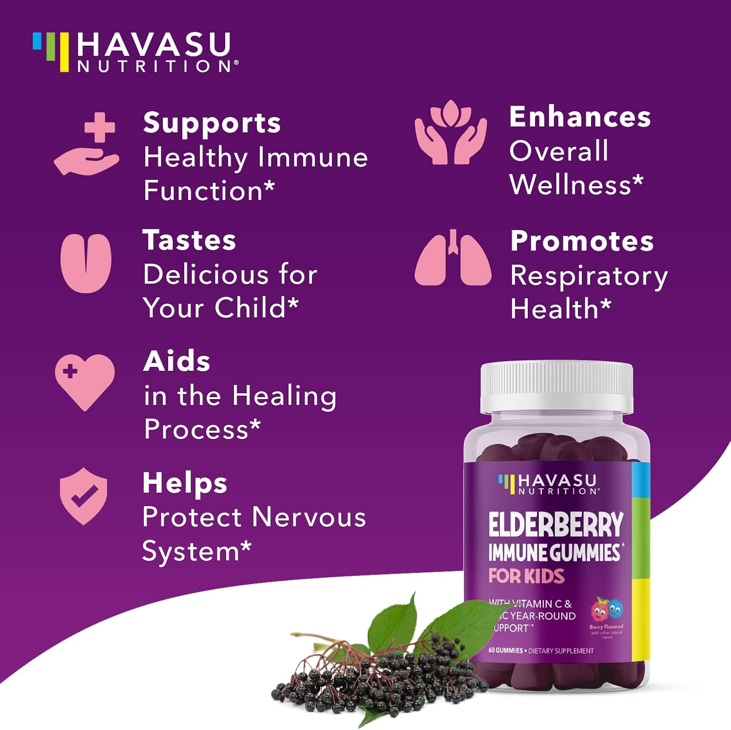 Elderberry Gummies for Kids with Zinc & Vitamin C | Potent Herbal Supplement with Antioxidants to Support Immune Defense | Vegan Gummies : Health & Household