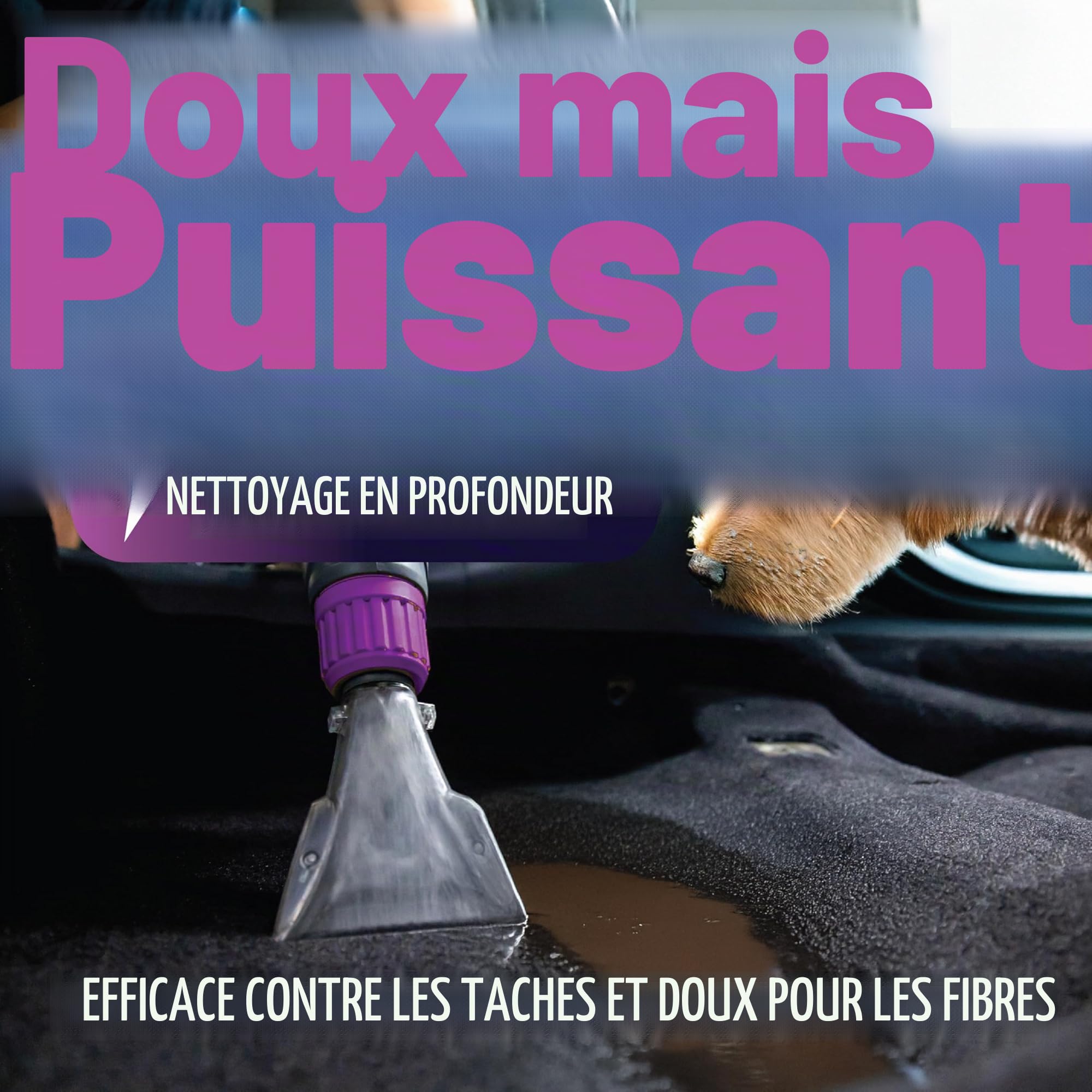 Dirtbusters Solution shampooing nettoyage tapis tissus voiture 5 litre | Habillage intérieur de voiture, Pour machines à tapis moquette