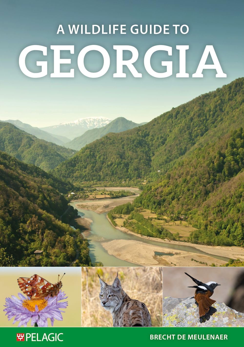 A Wildlife Guide to Georgia (Where to Watch Guides)