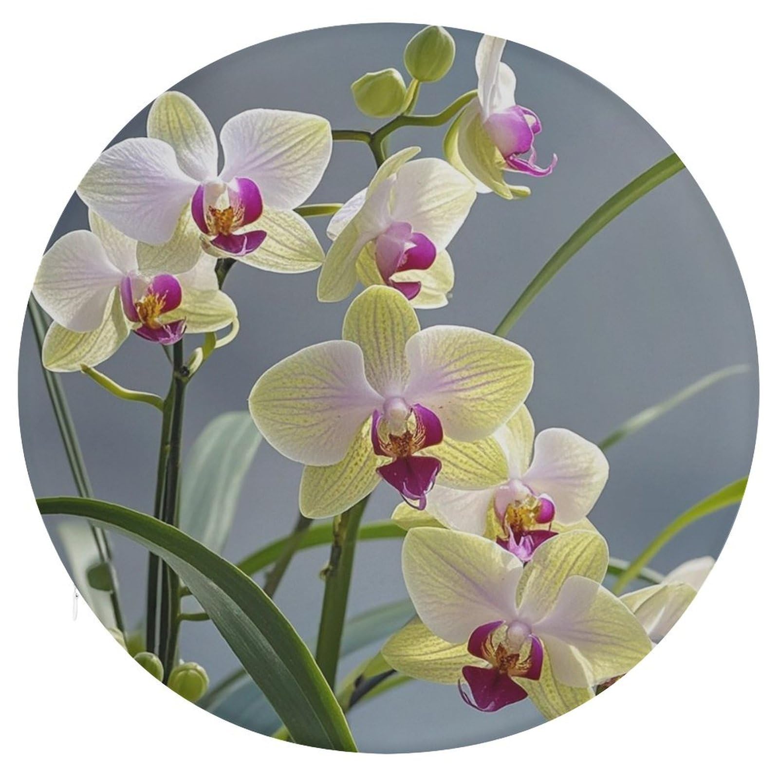 Coussin de chaise rond aux orchidées pour adulte et canapé