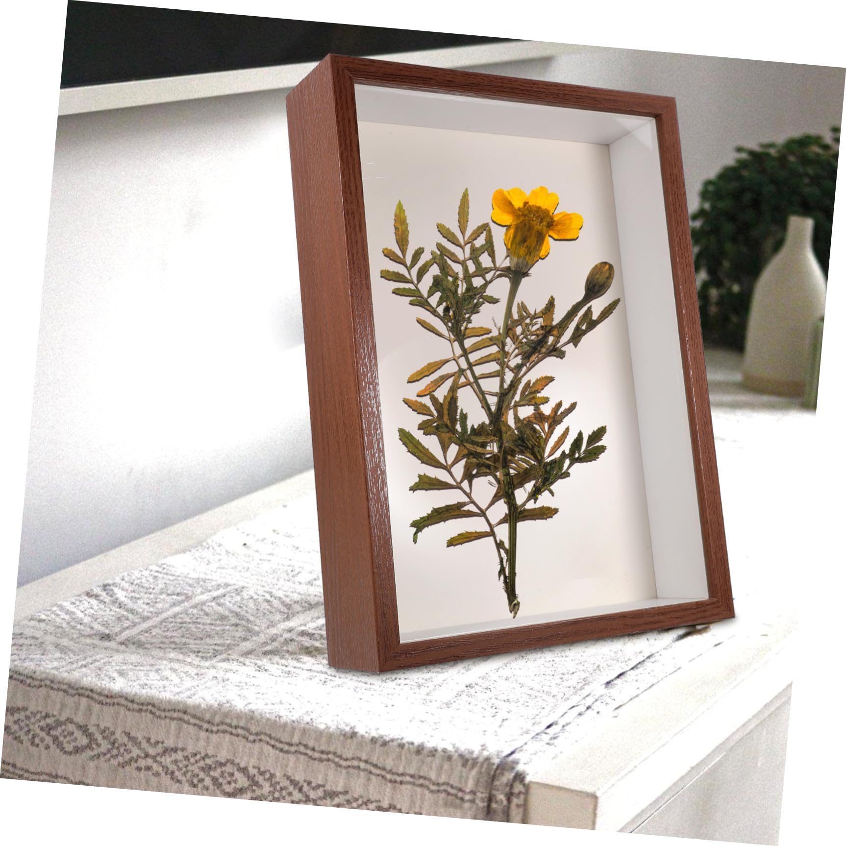 Ciieeo Cornice Galleggiante in Legno per Fiori Secchi A3 5 Cm Cornice Fai da Te per Esposizione di Piante Secche e Foto Decorativa per Soggiorno e Camera da Letto