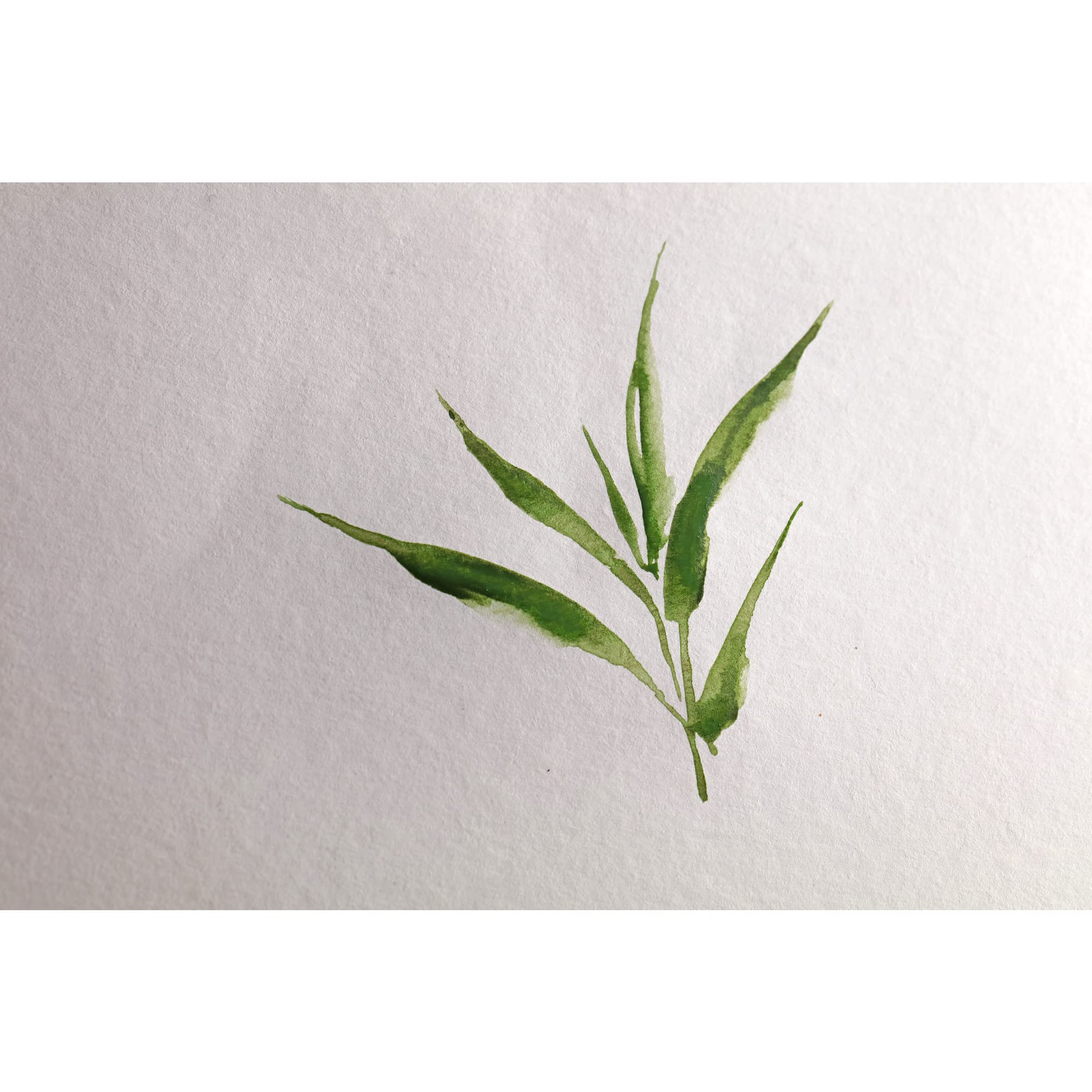 Clairefontaine 975935C - Rouleau Bamboo - Papier 100% Bambou Aquarelle Blanc Naturel 100% végan - Grain Finement Marqué Qualité Professionnelle 1,30x5m 250g