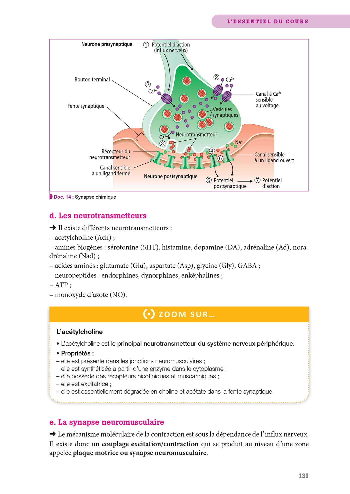 Biologie fondamentales, Cycles de la vie et grandes fonctions: Unités d'enseignement 2.1 et 2.2