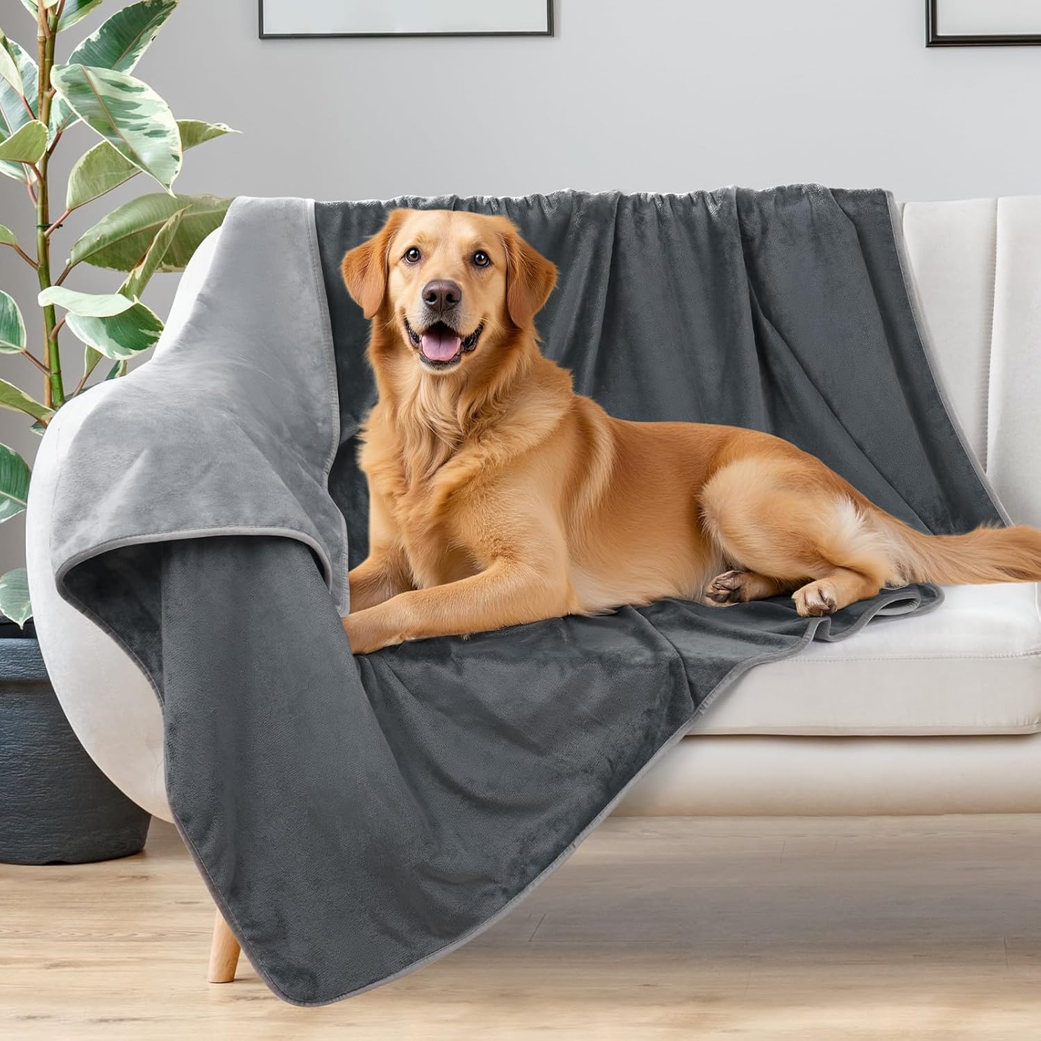 LOOBANI Waterproof Dog Blanket for Bed: Spill-Proof Puppy Blankets for Small Medium Dogs Washable, Reversible Soft Flannel Pet Throw for Couch Sofa Cover, Crate, Travel, Picnic, 30″ x 40″, Grey LOOBANI Waterproof Dog Blanket for Bed: Spill-Proof Puppy Blankets for Small Medium Dogs Washable, Reversible Soft Flannel Pet Throw for Couch Sofa Cover, Crate, Travel, Picnic, 30″ x 40″, Grey