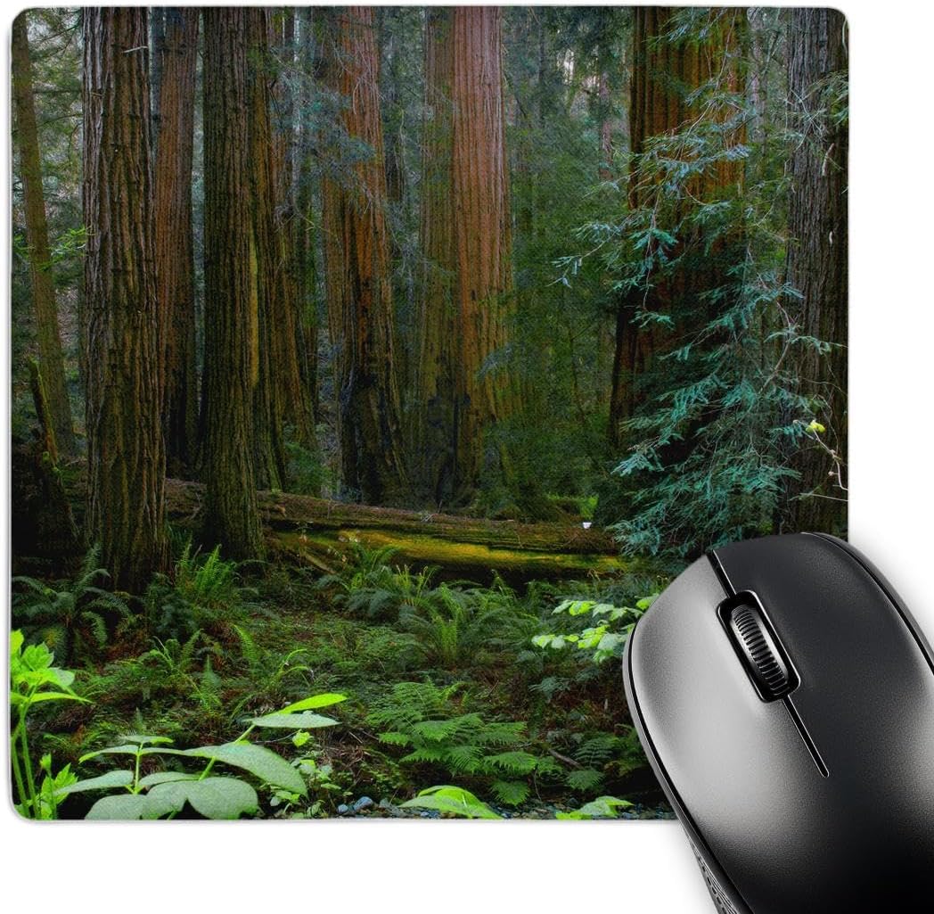 3dRose USA California Redwoods in Muir Woods Nm Mouse Pad (mp_189448_1)