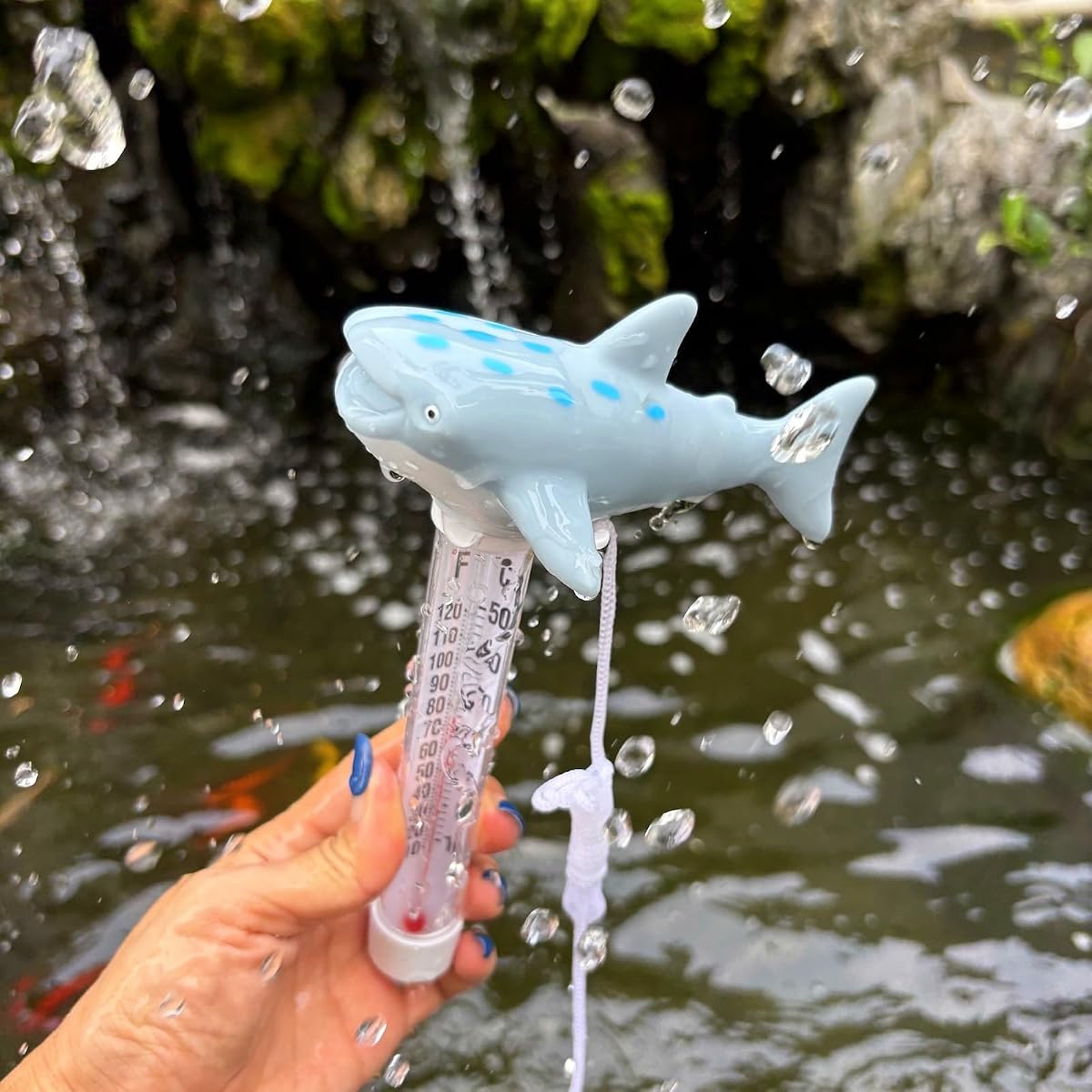 Termómetro flotante para piscina, termómetro de temperatura del agua de tiburón ballena con cuerda, accesorios de piscina de gran tamaño y fácil lectura para piscina exterior e interior, spa, baño de hielo y jacuzzi