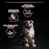 Ver la foto 3