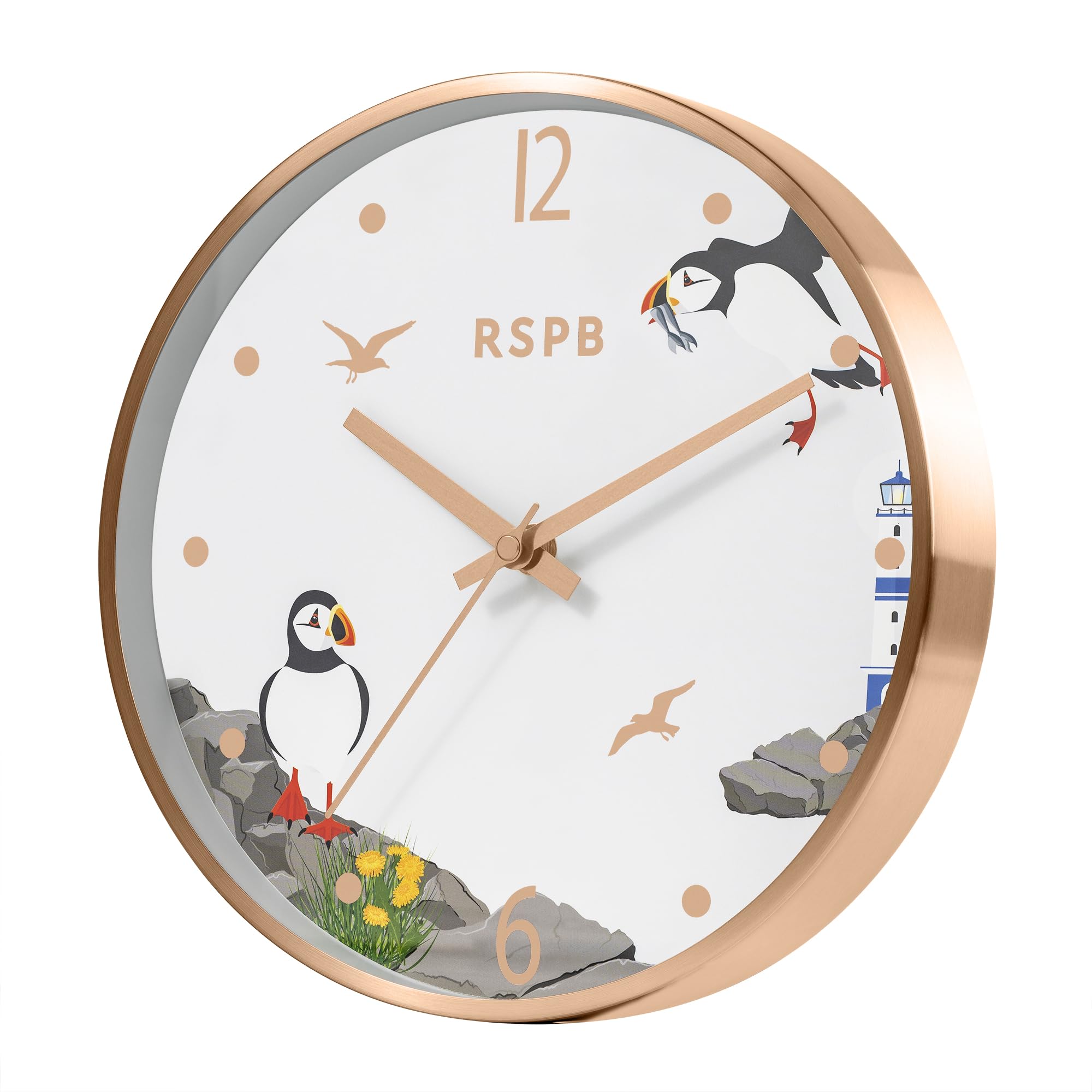 Tikkers RSPB Puffin Bird Printed Dial Wall Clock, Multicolour - Image 2