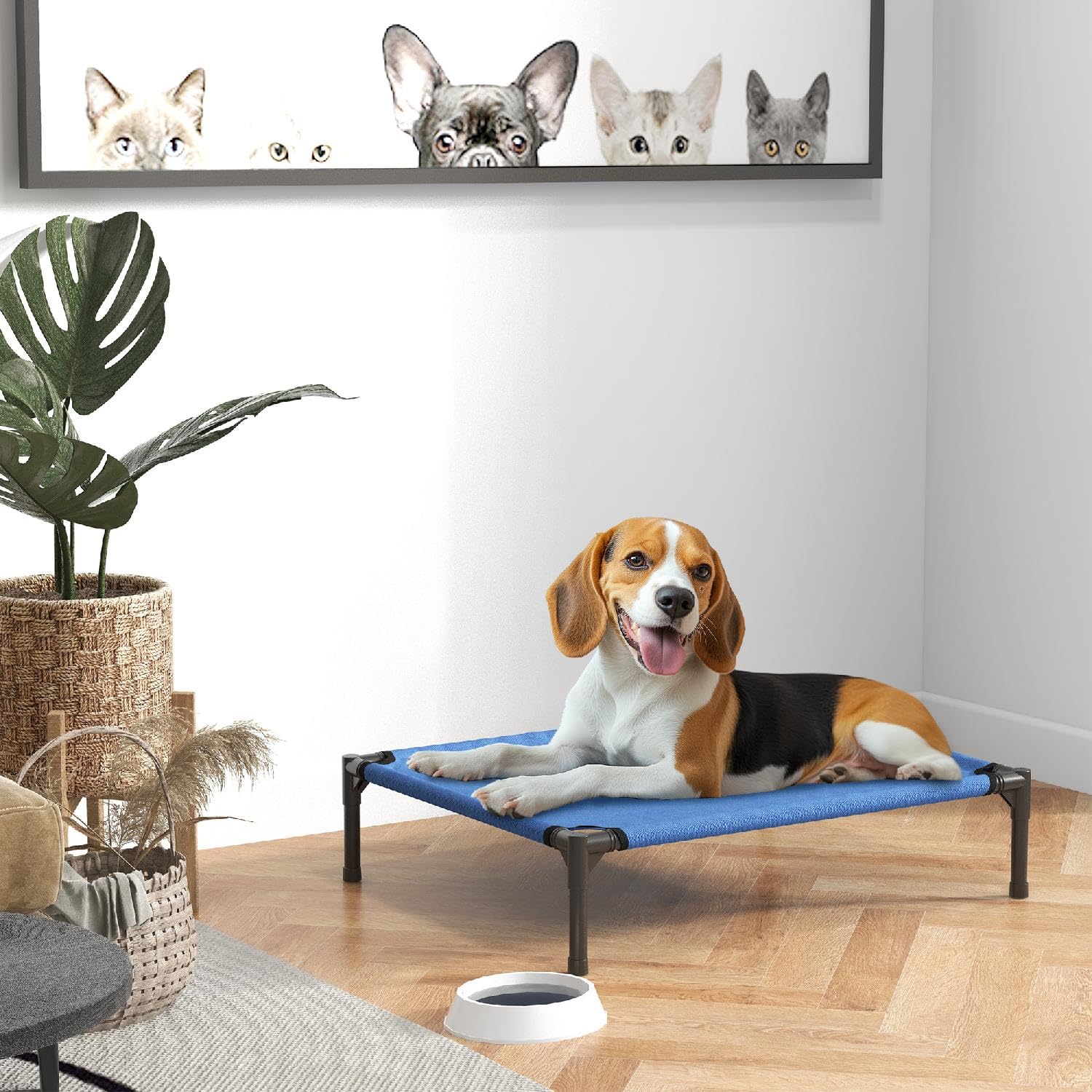 DecHome - Cuccia Lettino per Cani Rialzato Pieghevole per Interno ed Esterno in Metallo e Tessuto Oxford 76x61x18 cm Colore Blu