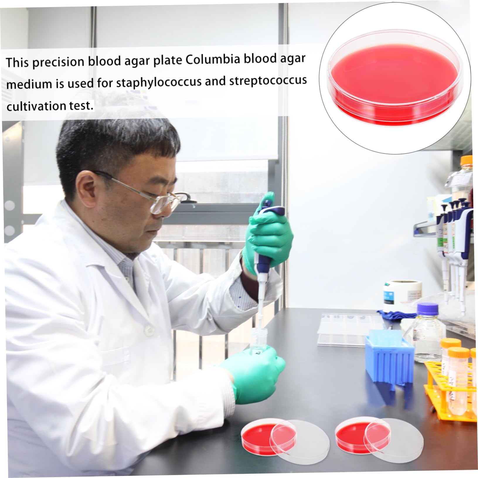 Milieu de Croissance à Base D'agar Rouge pour Laboratoire Médical et Industriel, Boîtes de Pétri en Pe, Surface Lisse Intérieure et Extérieure, Lot de 10 Pièces