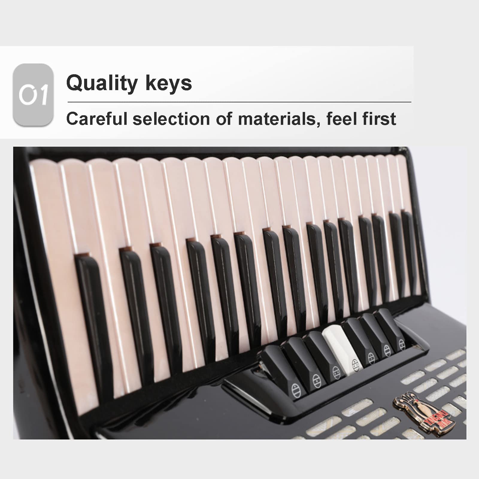 Fisarmoniche a Piano Professionale, Fisarmonica a 37 Tasti 96 Bassi, con Tracolla Regolabile e gig Bag,Nero