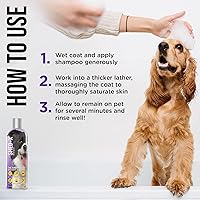 Vista 4 de Suplemento nutricional Synergylabs SHED-X Dermaplex Shed Control