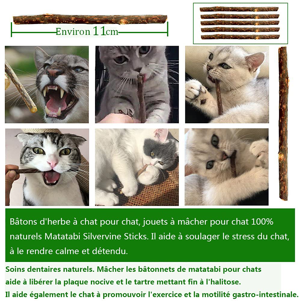Jouets Chat, 23 Pièces Lot de Jouets pour Chaton Intérieur, Jeu Interactif avec Plumes Baguette pour Chaton, Cataire Jouet Poisson, d'herbe à Chat Naturel Matatabi