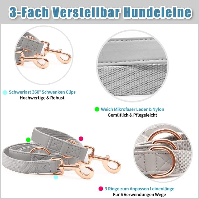 Foto 4 de 7 de Juego de Collar y Correa para Perros de Cuero Suave (2 m)