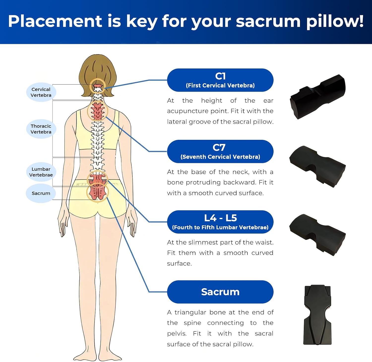 Sacrum Wedge for Pelvic Tilt Support, Lower Back & Neck Stretching | Firm sacrum wedge with 3 contoured surfaces for pelvic, lower back, upper back and neck stretching; lightweight 3.5 oz.