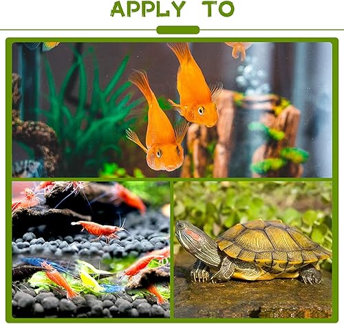 Vista 5 de LeonBach 100 Pcs Large Catappa for Fish,5-8 Inch 250g Indian Almond Leaves Creates Native Environment,Catappa Leaves Beta Fish Leaf for Aquarium