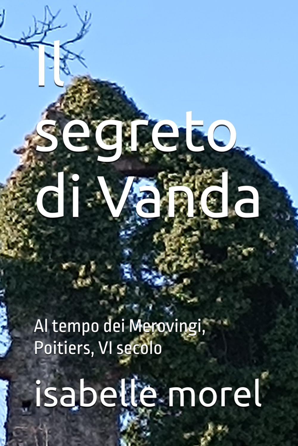 Il segreto di Vanda: Al tempo dei Merovingi, Poitiers, VI secolo (Romanzi storici sul Medioevo)