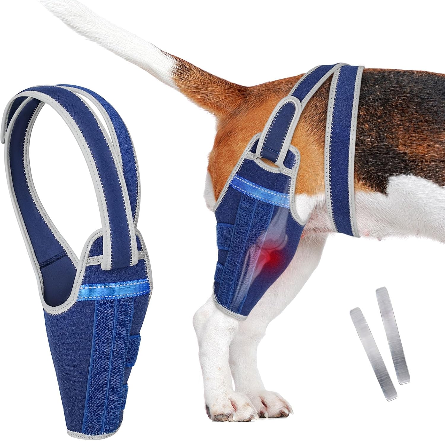 Dog Knee Brace for Torn ACL Hind Leg–Adjustable Support Dog Leg Brace for Back Leg with 2 Stabilizers, Hip Support to Reduces Pain Luxating Patella , Ligament Injuries, CCL (Blue, Right Leg, S)