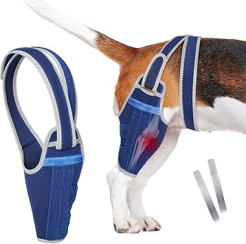 Dog Knee Brace for Torn ACL Hind LegAdjustable Support Dog Leg Brace for Back Leg with 2 Stabilizers, Hip Support to Reduces Pain Luxating Patella, Ligament Injuries, CCL Blue, Left Leg, S