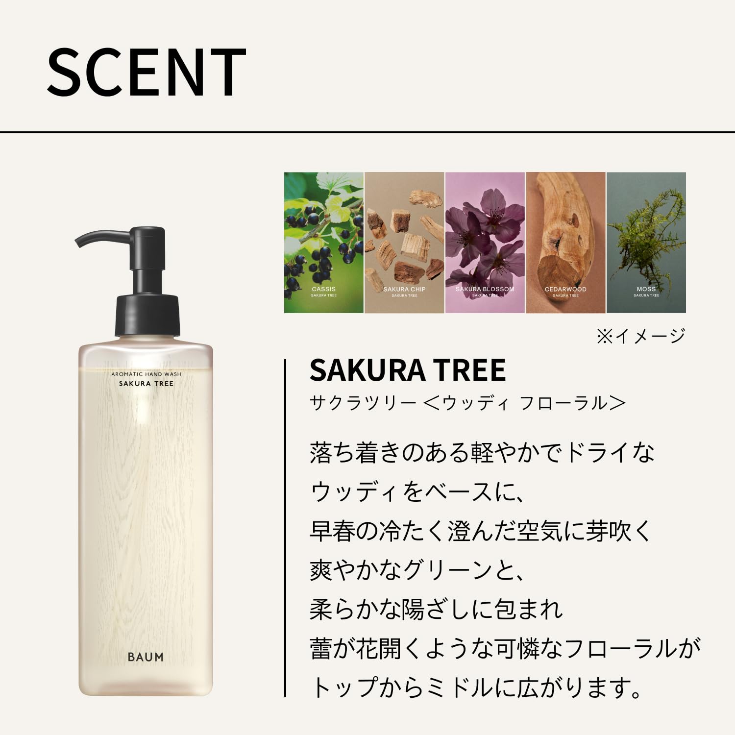 Amazon.co.jp: BAUM(バウム) ギフトキット アロマティック ハンド