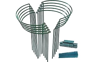 TCBWFY Rust-Resistant Galvanized Interlinked Peony Tomato Rose Hydrangea Stakes