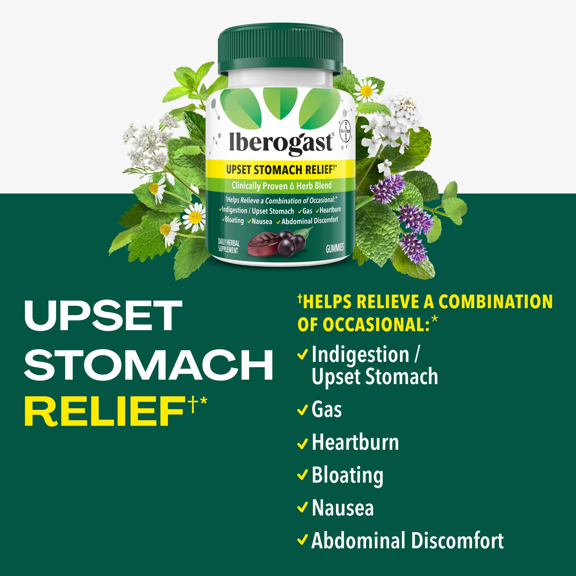 Iberogast Gummies Upset Stomach Relief: Helps Relieve a Combination of Occasional Indigestion/Upset Stomach, Gas, Heartburn, Bloating, Nausea and Abdominal Discomfort, Natural Elderberry Flavor, 30ct — Amazon image 2