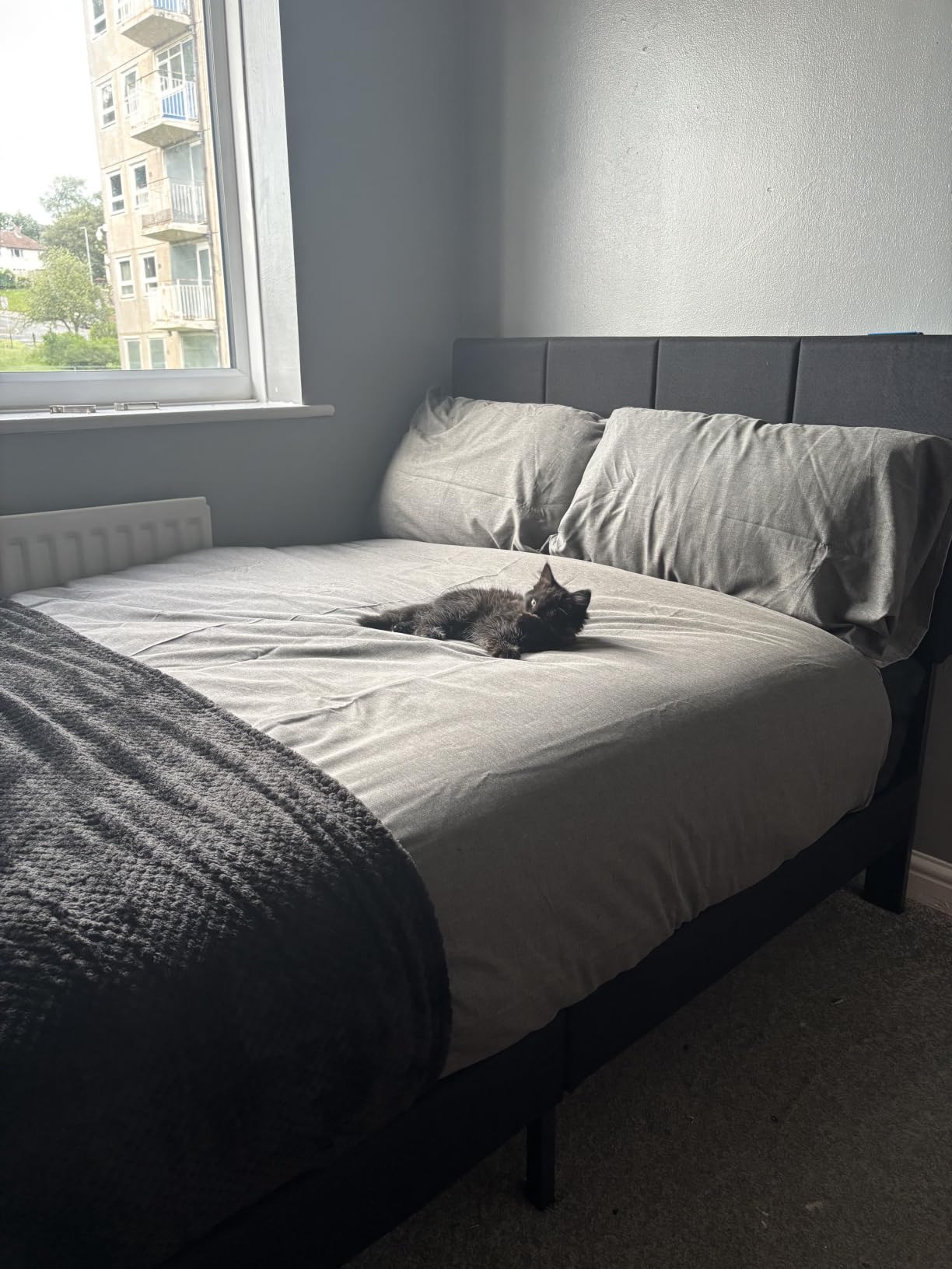 Customer photo