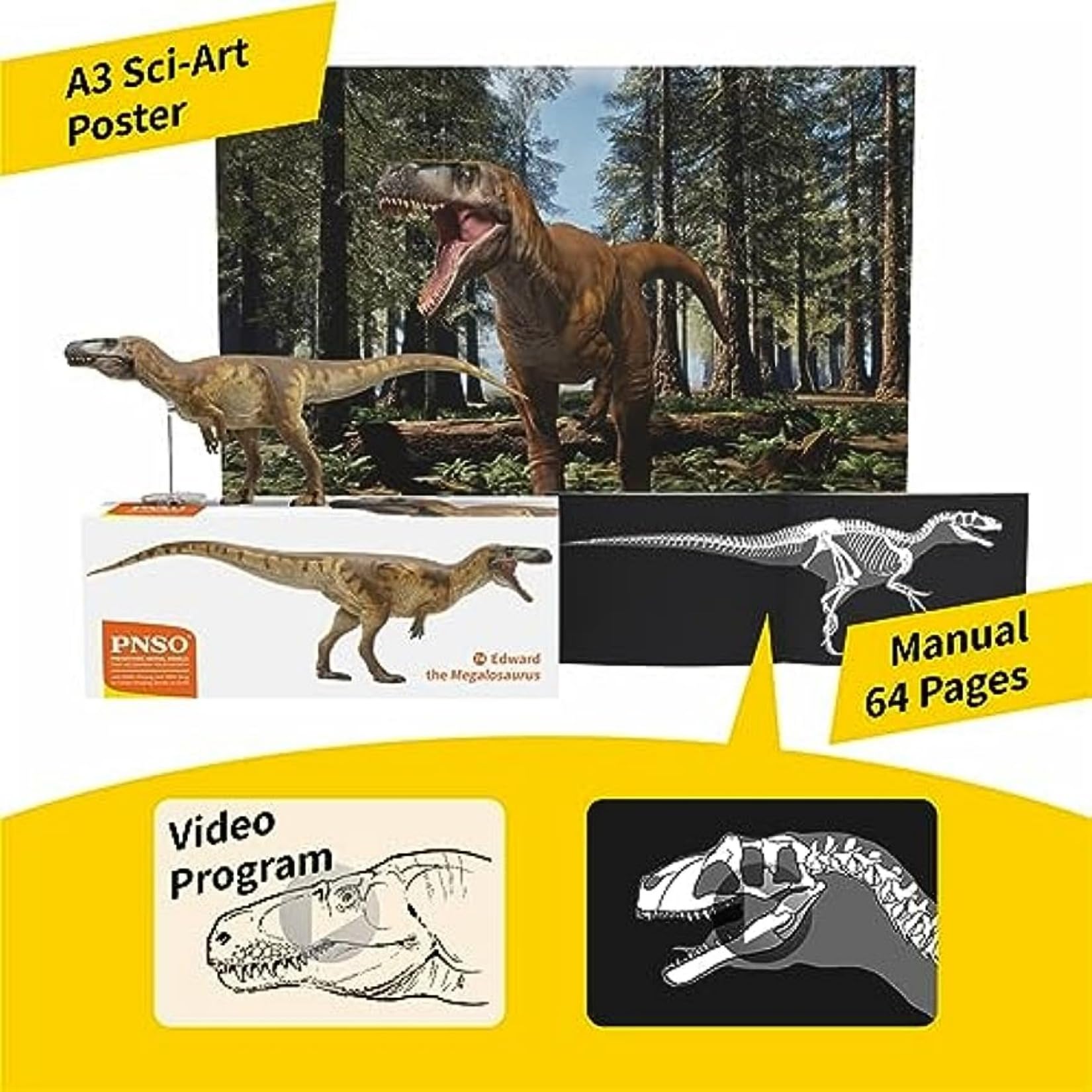 Amazon | PNSO 成長シリーズ 74 メガロサウルス 肉食 恐竜 フィギュア